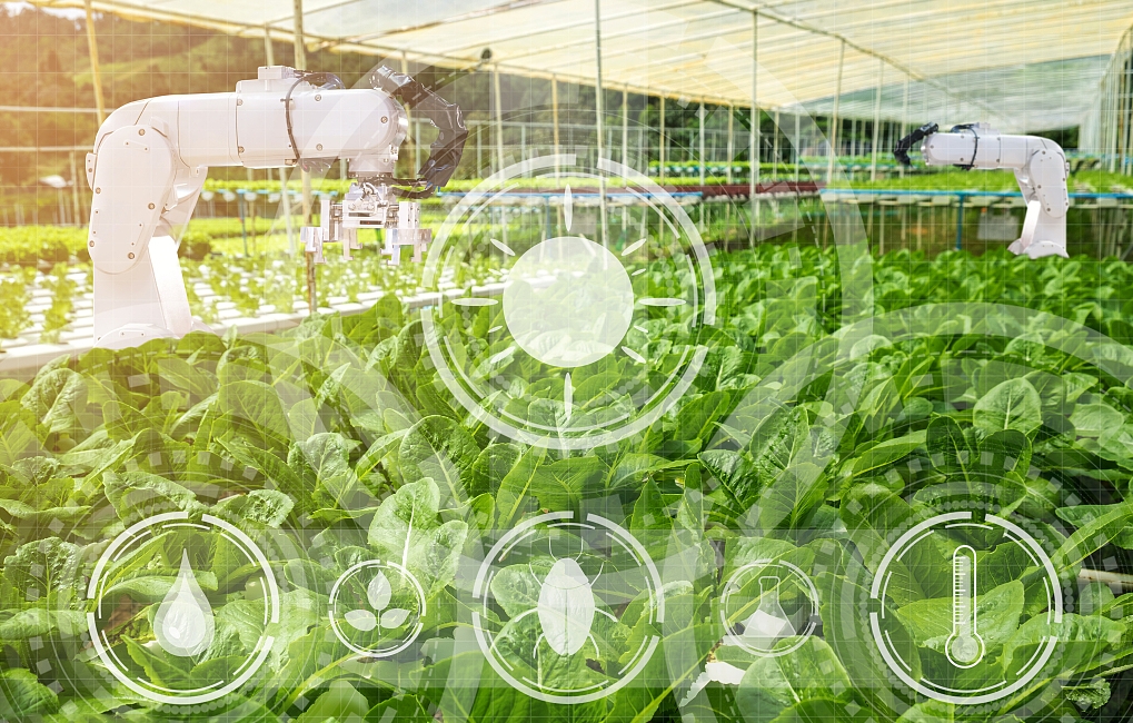 agriculture intelligente (1).png