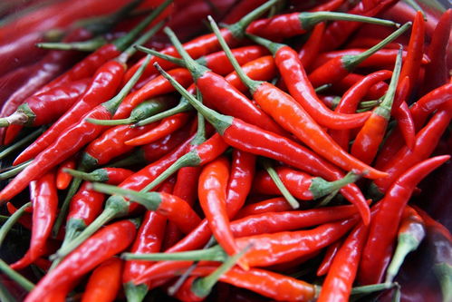 piments jalapeño (1).jpeg