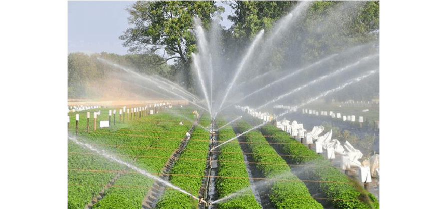 Systèmes d'irrigation goutte à goutte automatiques utilisant des capteurs d'humidité du sol.png