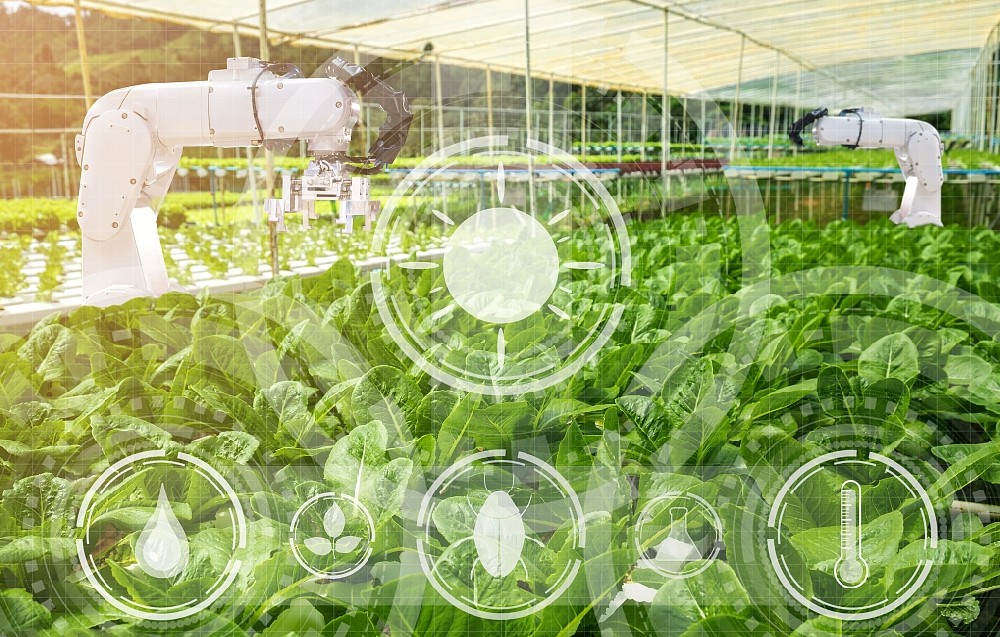 agriculture intelligente (1).png