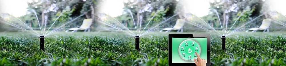 Capteur d'humidité du sol dans un système d'irrigation.jpg