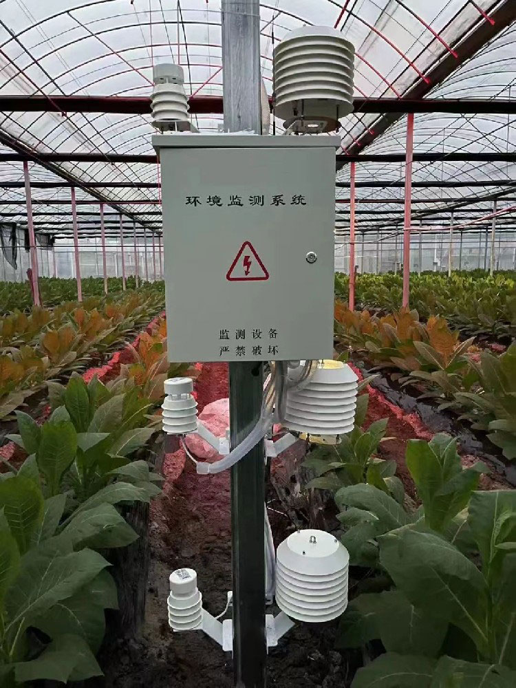 Station de surveillance météorologique environnementale à effet de serre.jpg