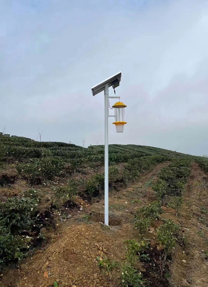 Lampe de test émotionnelle d'insecte IoT.jpg