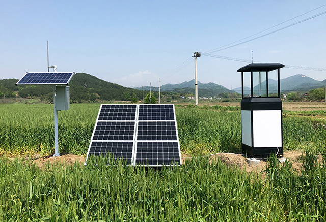 Rapport de détection d'insectes IOT light.jpg