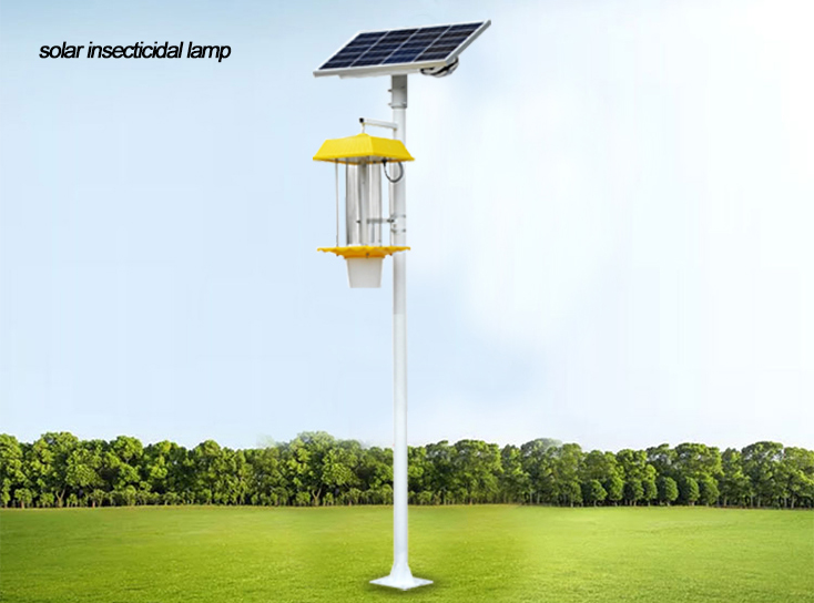 Lampes solaires insecticides.jpg