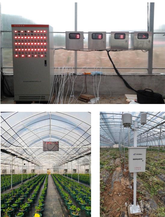 Internet des objets agricoles.jpg