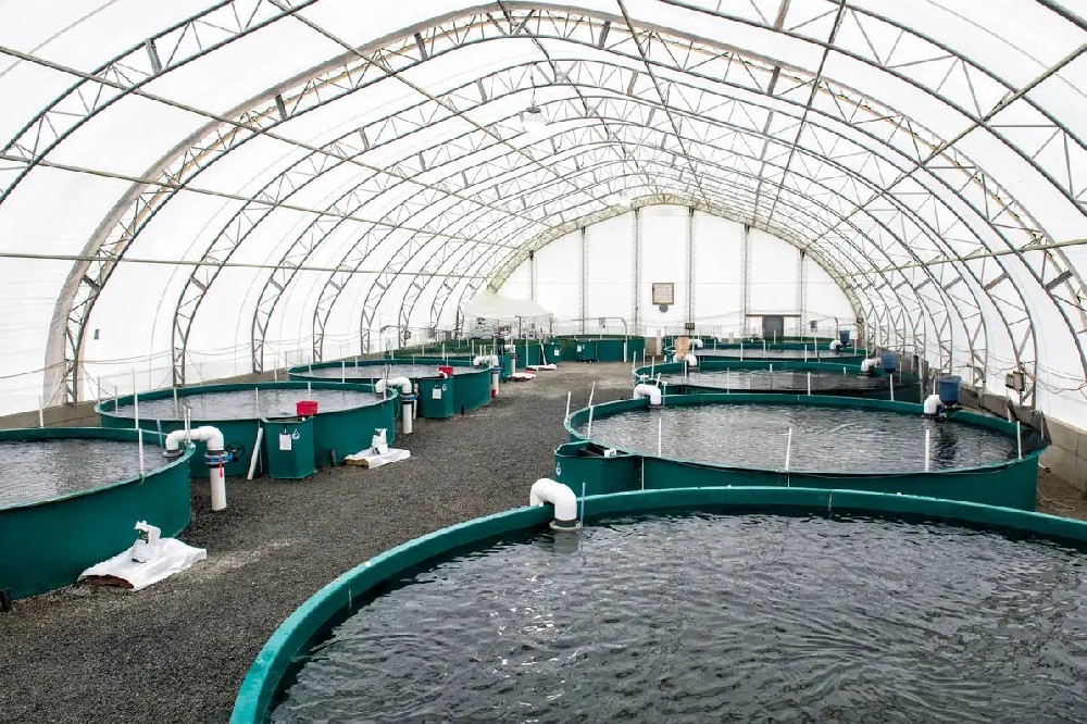 Aquaculture intelligente (1).jpg