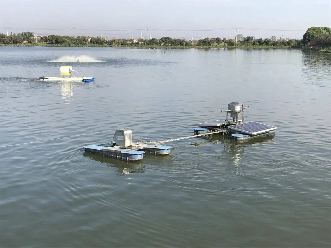 Aquaculture intelligente.jpg