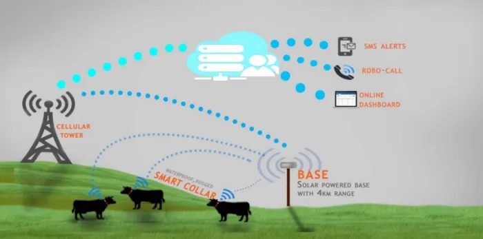 IoT agricole (1).jpg