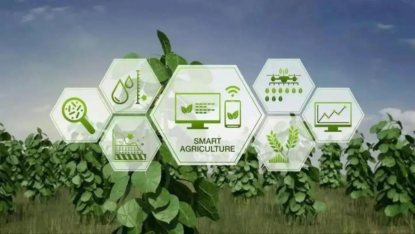 IoT agricole.jpg