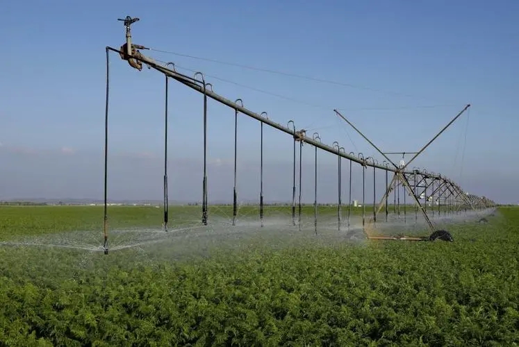 Technologie d'irrigation agricole économe en eau.jpg