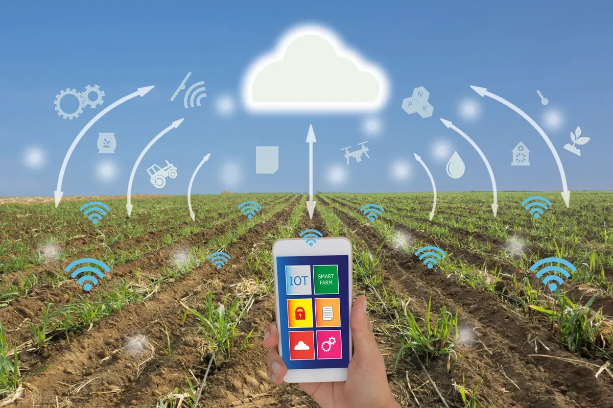 agriculture intelligente.jpg