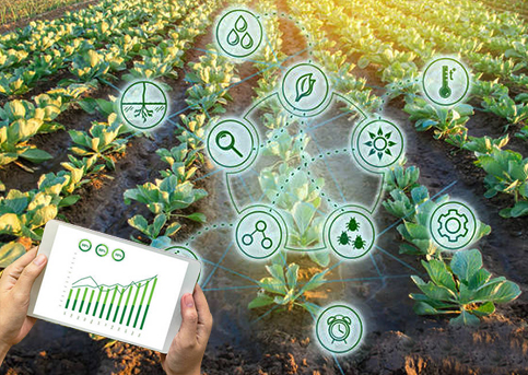 Internet des objets agricoles.jpg