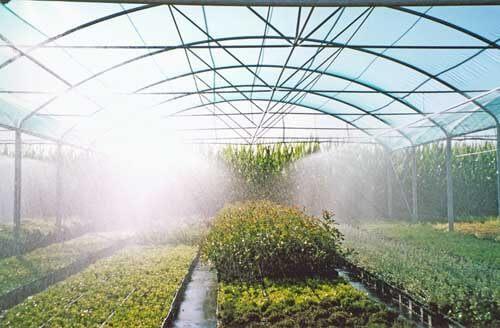 Irrigation moderne des serres (1).jpg