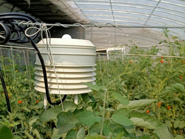 Station de surveillance météorologique des serres agricoles.jpg