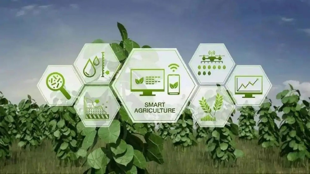 IoT agricole (2).jpg
