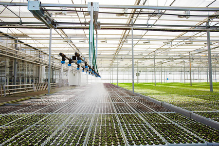 Irrigation moderne des serres (1).jpeg