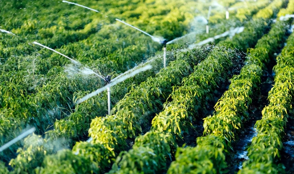 Matériel d'irrigation.jpg