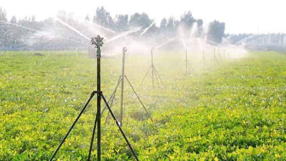 Capteurs d'humidité du sol pour l'irrigation.jpg