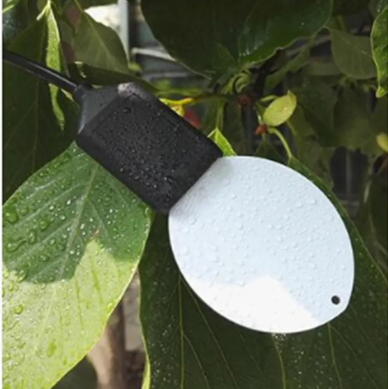Capteur d'humidité des feuilles.png