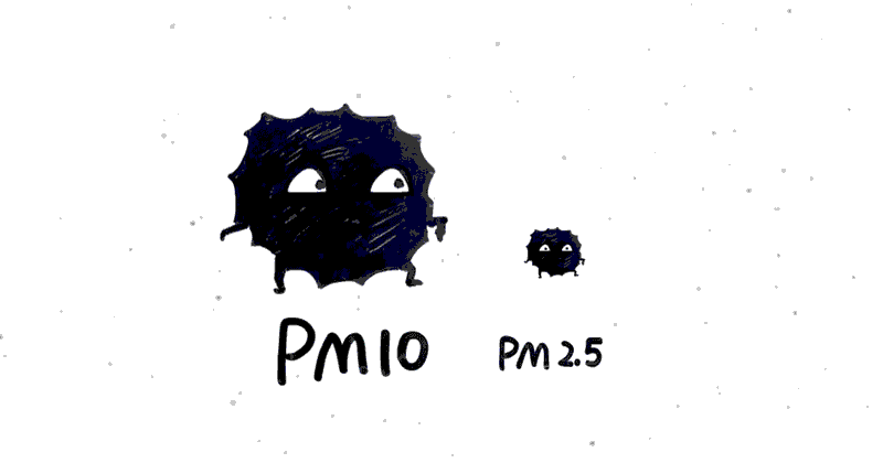 pm14.5 pm10.gif