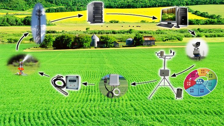 capteurs utilisés en agriculture de précision (2).jpeg