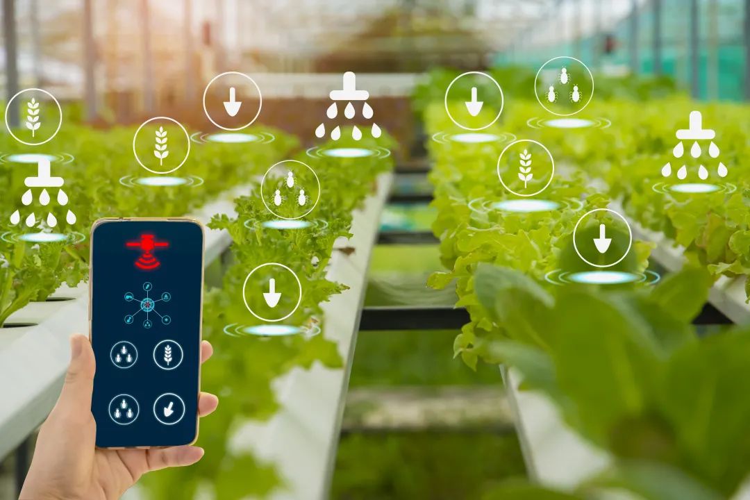 agriculture intelligente.jpeg