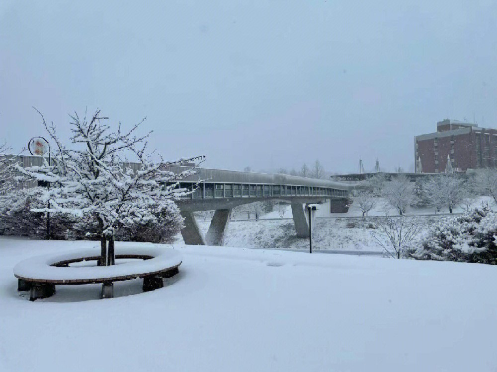 neige.jpeg
