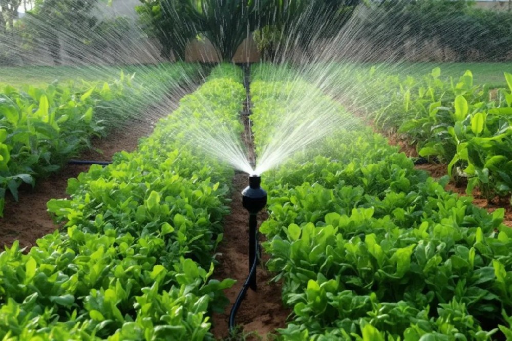 système d'irrigation intelligent.jpg