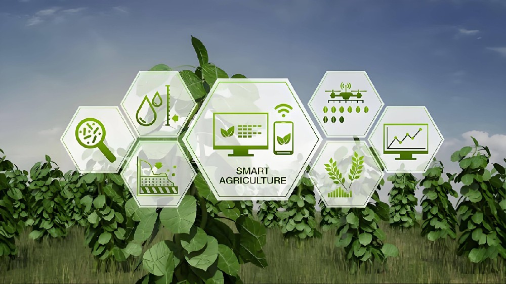 agriculture intelligente.jpeg