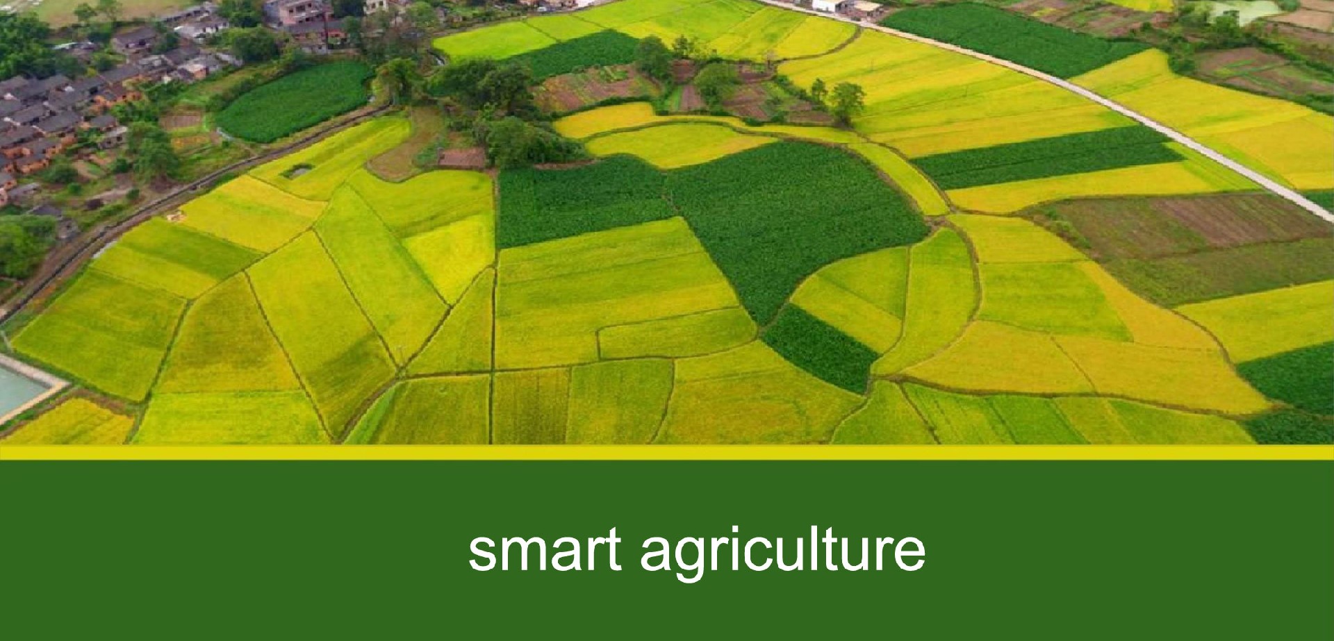agriculture-intelligente.jpg