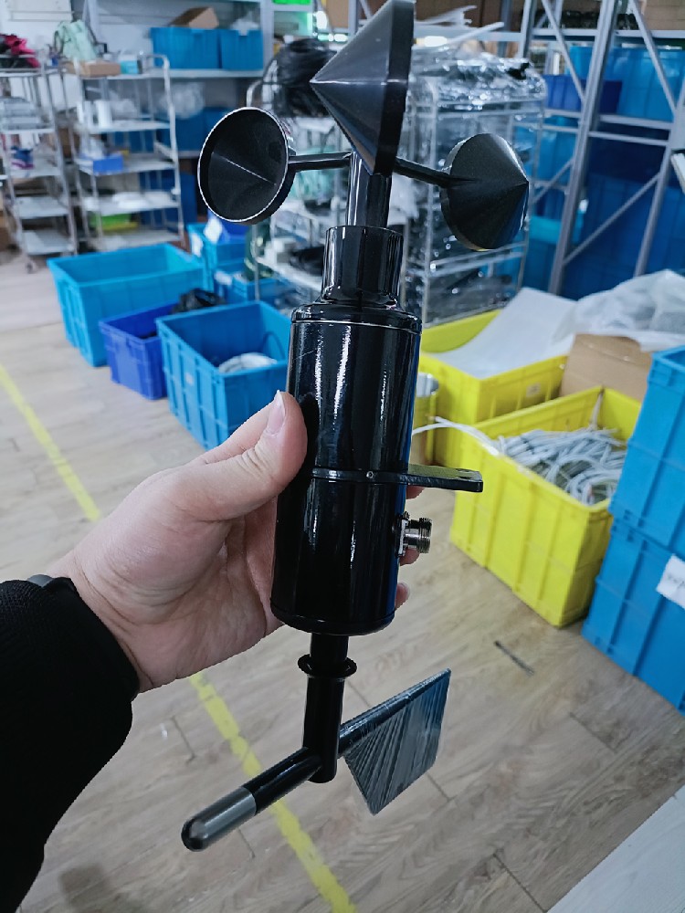 Anémomètre avec direction du vent.jpg