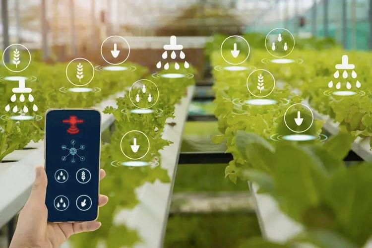 Plateforme cloud IoT agricole.jpeg