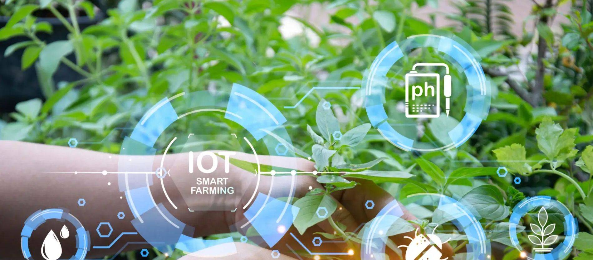 Plateforme cloud IoT agricole.jpeg