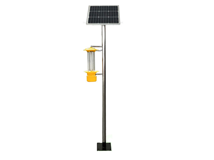 Lampes insecticides vibrantes.jpeg