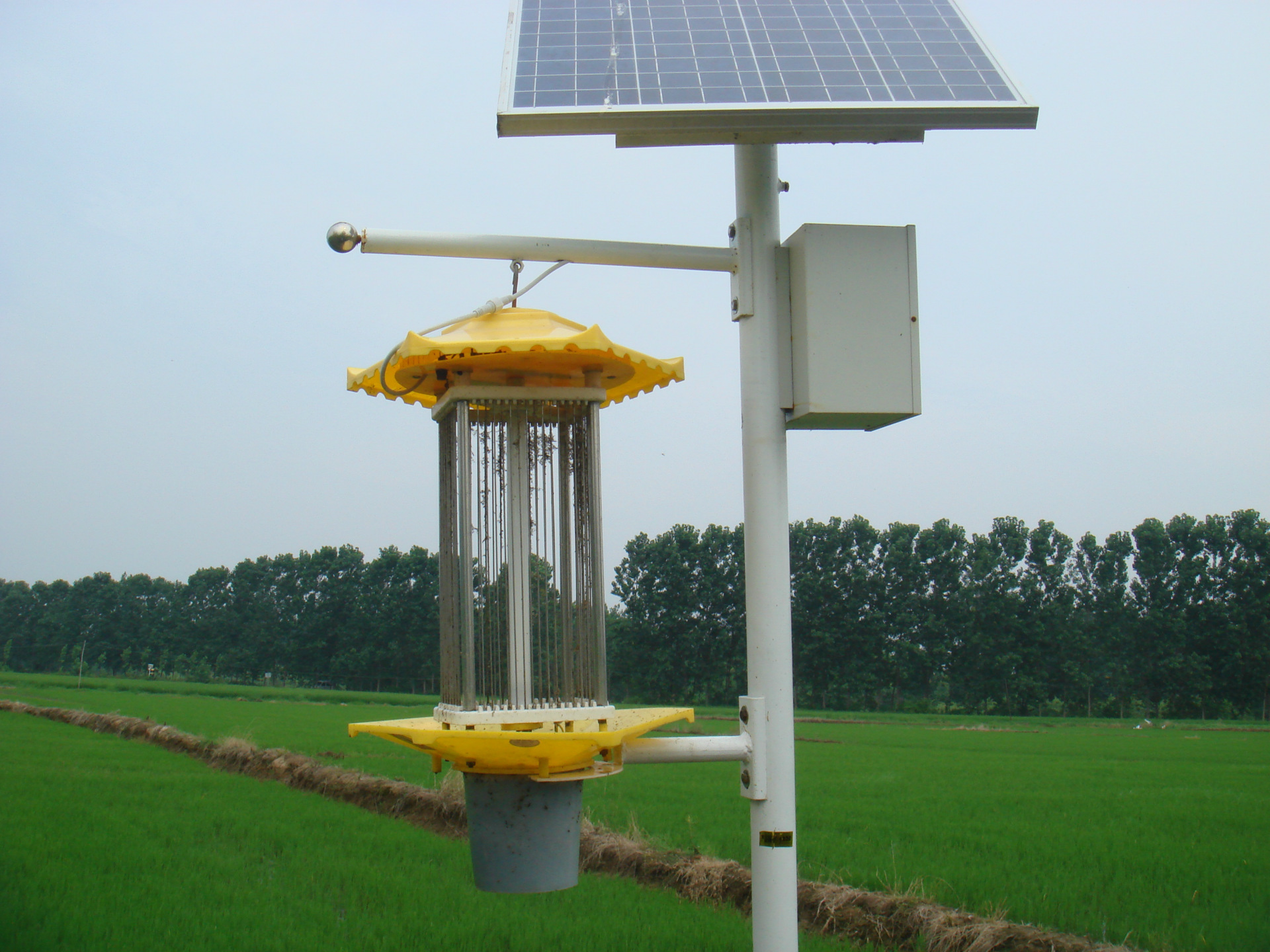 Lampes insecticides vibrantes.jpg