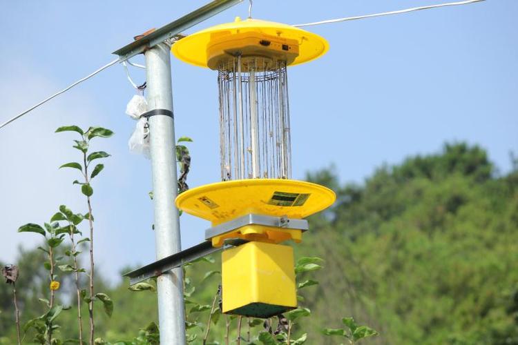 Lampes insecticides vibrantes.jpeg
