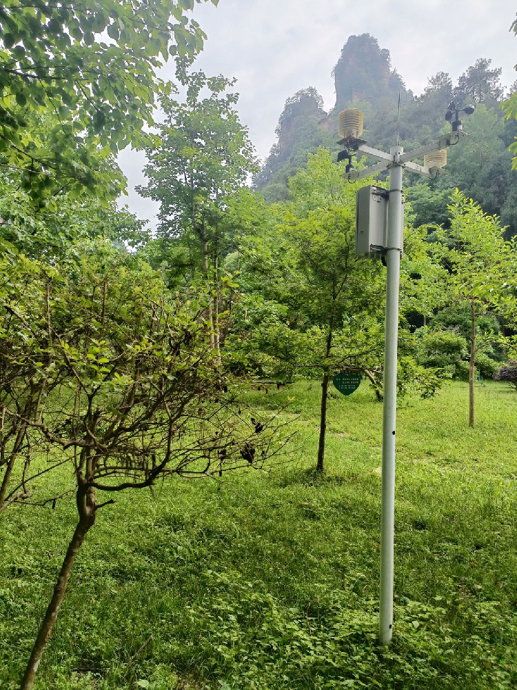 Stations météorologiques pour les forêts .jpg