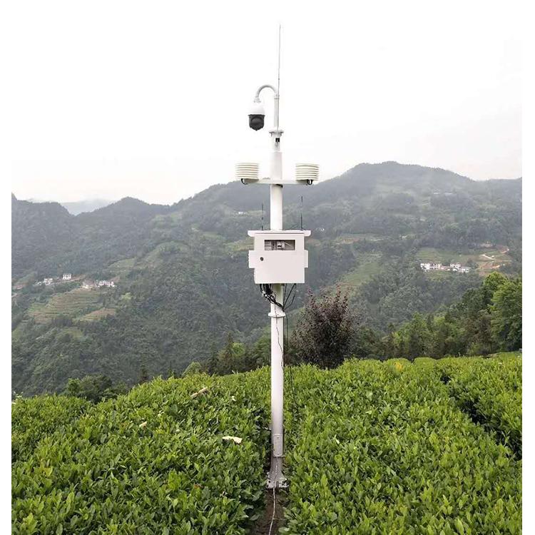 Observatoire météorologique écologique (1).jpeg