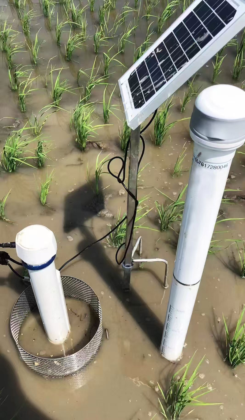 1745758482163958.jpg Capteur d'humidité du sol multicouche (1).jpg