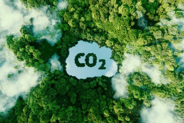 Scénarios d'application des capteurs de CO2.jpg