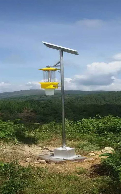 Piège à insectes solaire.jpeg