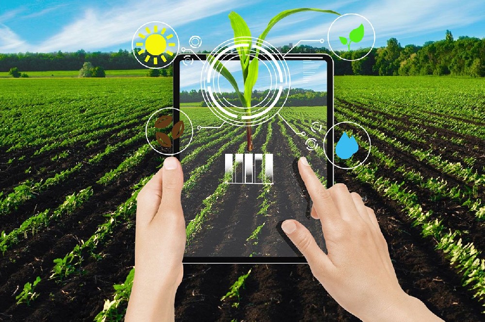 Precision Agriculture Solution.jpeg