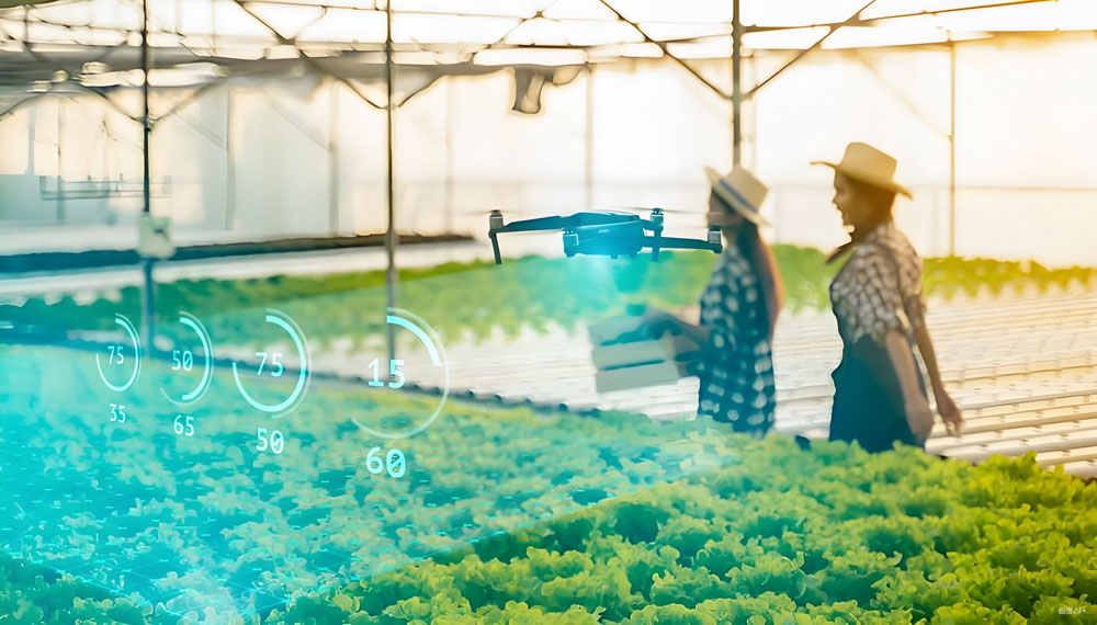 1762761358953913.jpg 1-2.jpg