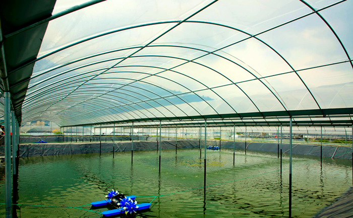 1768182970119198.png Smart Aquaculture (2).png