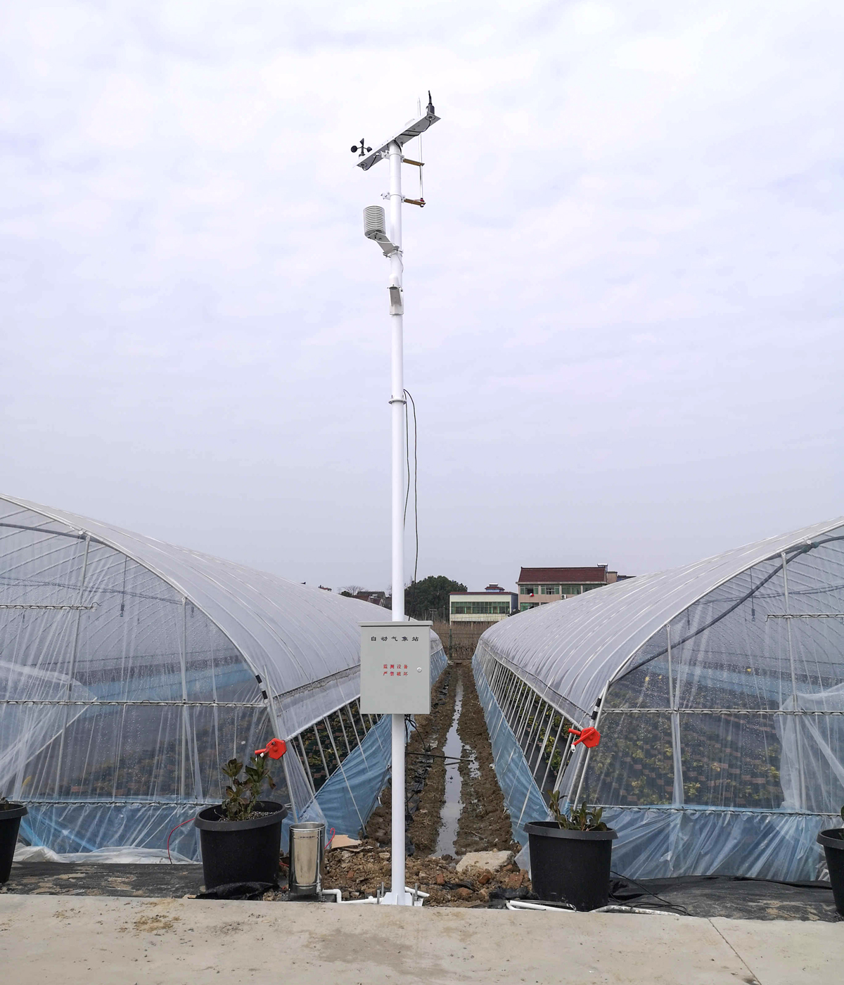 Weather Station for Greenhouse.jpg