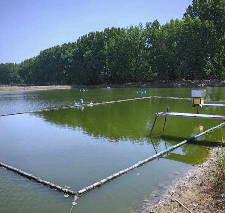 Aquaculture ponds.png