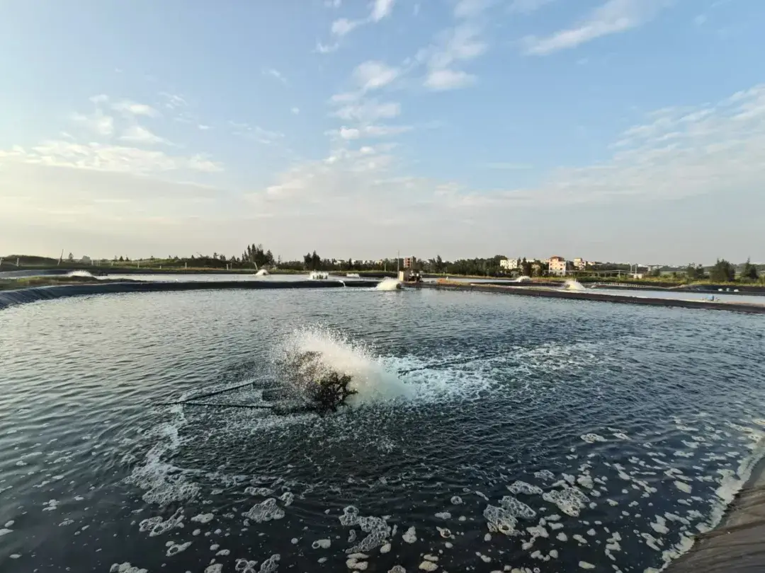 Aquaculture ponds.png