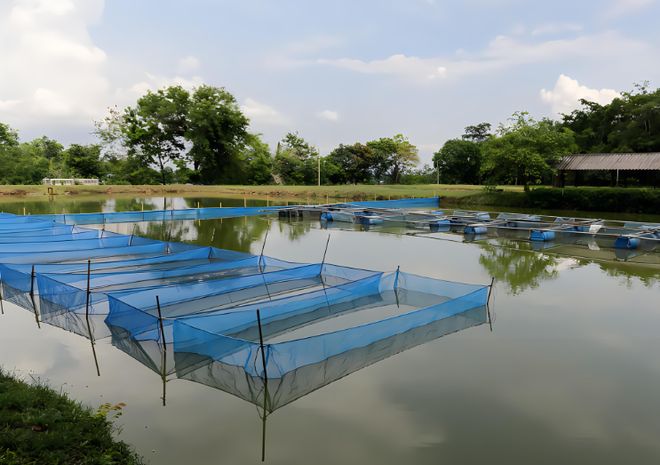 Smart Aquaculture Water Quality Online Monitoring.jpg Smart Aquaculture Water Quality Online Monitoring.jpg