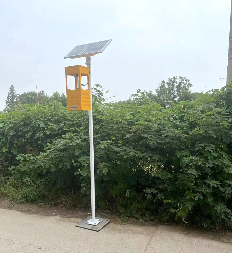 Lampes solaires anti-insectes NiuBoL exportées vers la Roumanie